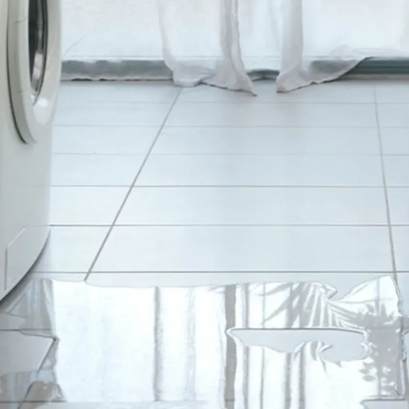 Appliance Leak Cleanup in Vineyard, CA