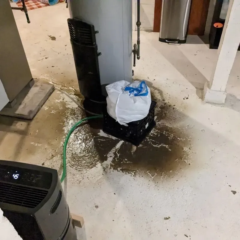 Sewage Backup Cleanup Service in Vineyard, CA